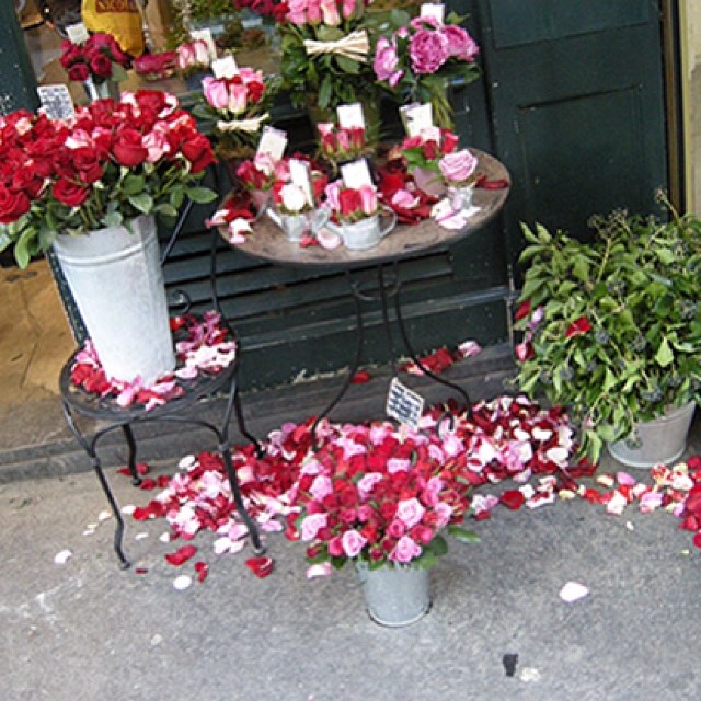 1425638_380581948742391_1643669338_n